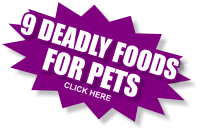 9 DEADLY FOODS FOR PETS CLICK HERE