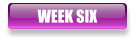 WEEK SIX